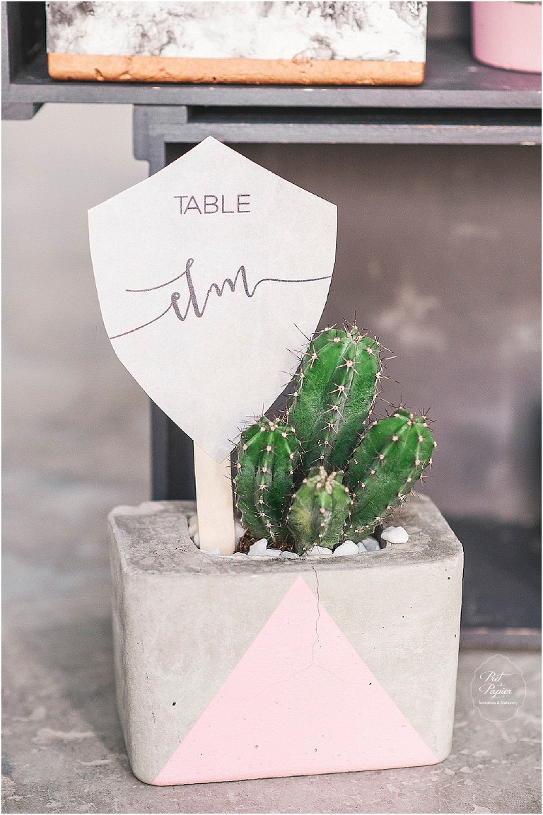 Shield plant sticks table names