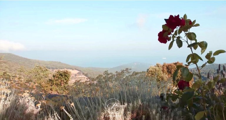 Pret a Papier wedding stationery