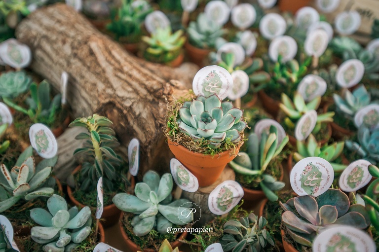 Pret a Papier Garden wedding succulent favours
