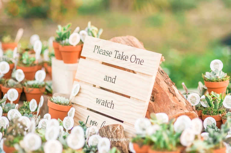 Pret a Papier Garden wedding succulent favours